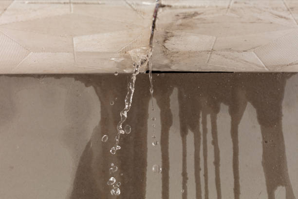 Professional Structural Drying technician working in Sheboygan, WI